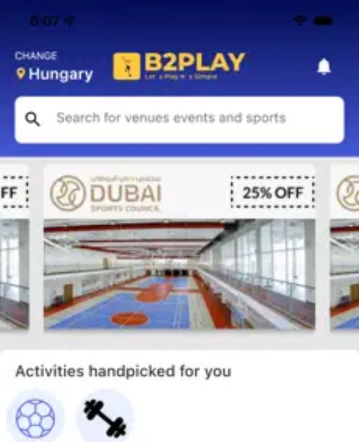 Pixels Perfect - B2Play